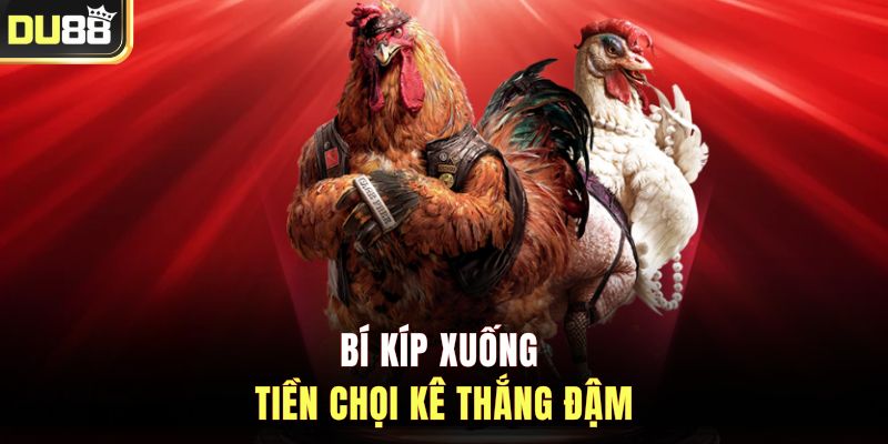 Bí kíp xuống tiền chọi kê thắng đậm