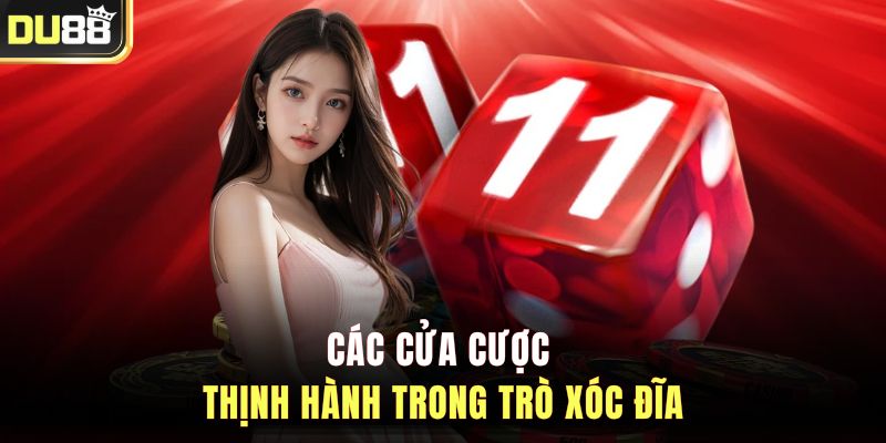 Các cửa cược thịnh hành trong trò xóc đĩa