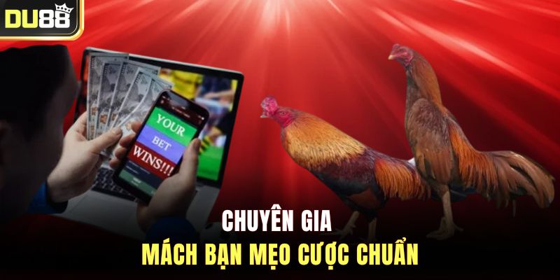 Chuyên gia mách bạn mẹo cược chuẩn