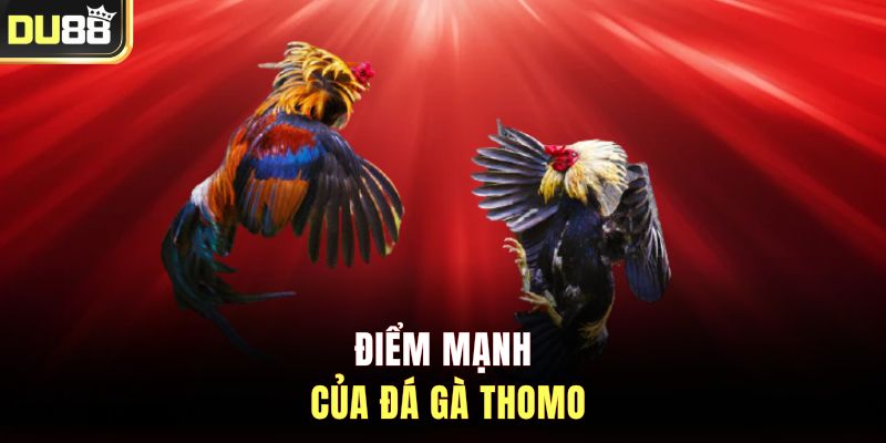 Điểm mạnh của đá gà Thomo