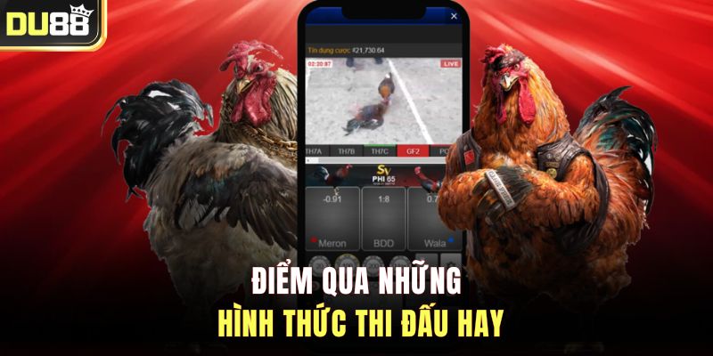 Điểm qua những hình thức thi đấu hay