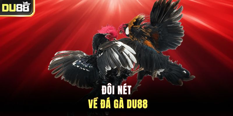 Đôi nét về đá gà DU88
