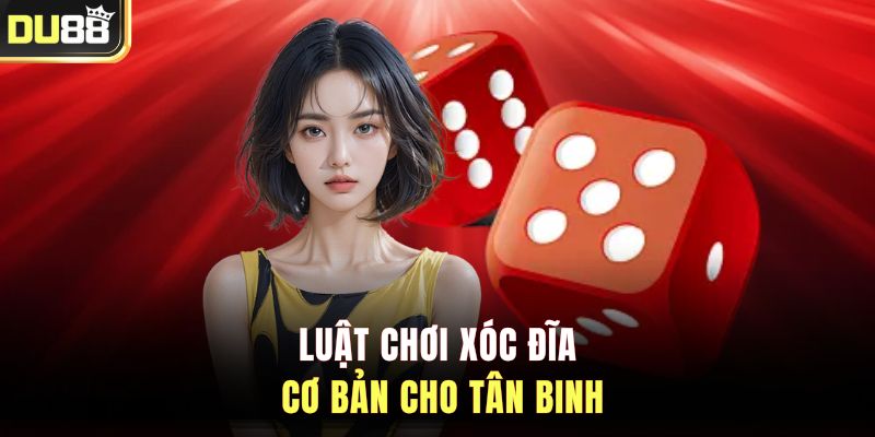Luật chơi xóc đĩa cơ bản cho tân binh
