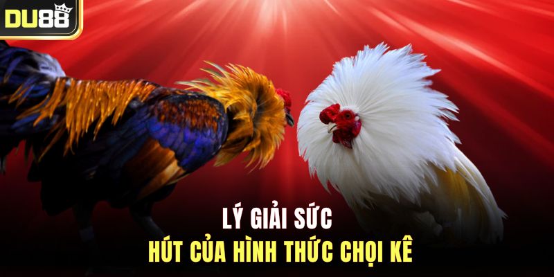 Lý giải sức hút của hình thức chọi kê