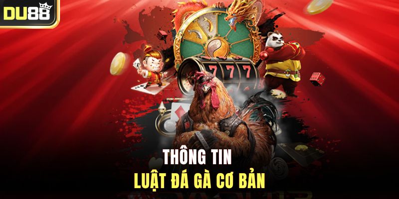 Thông tin luật đá gà cơ bản